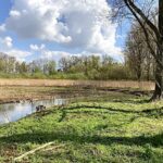 Querum (Braunschweig): Der große Guide zum Stadtteil Querum